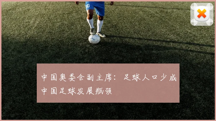 中国奥委会副主席：足球人口少成中国足球发展瓶颈