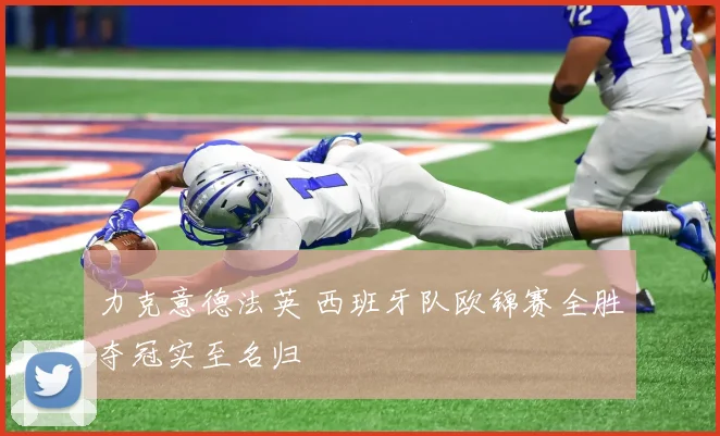 力克意德法英 西班牙队欧锦赛全胜夺冠实至名归